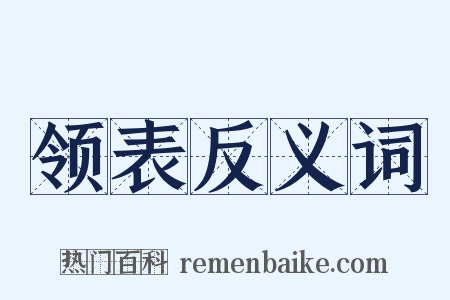 领表反义词是什么意思的图片